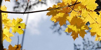 Podzim v Lotyšsku-26
