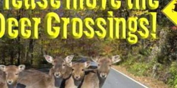Caller Wants Deer Crossings Moved

